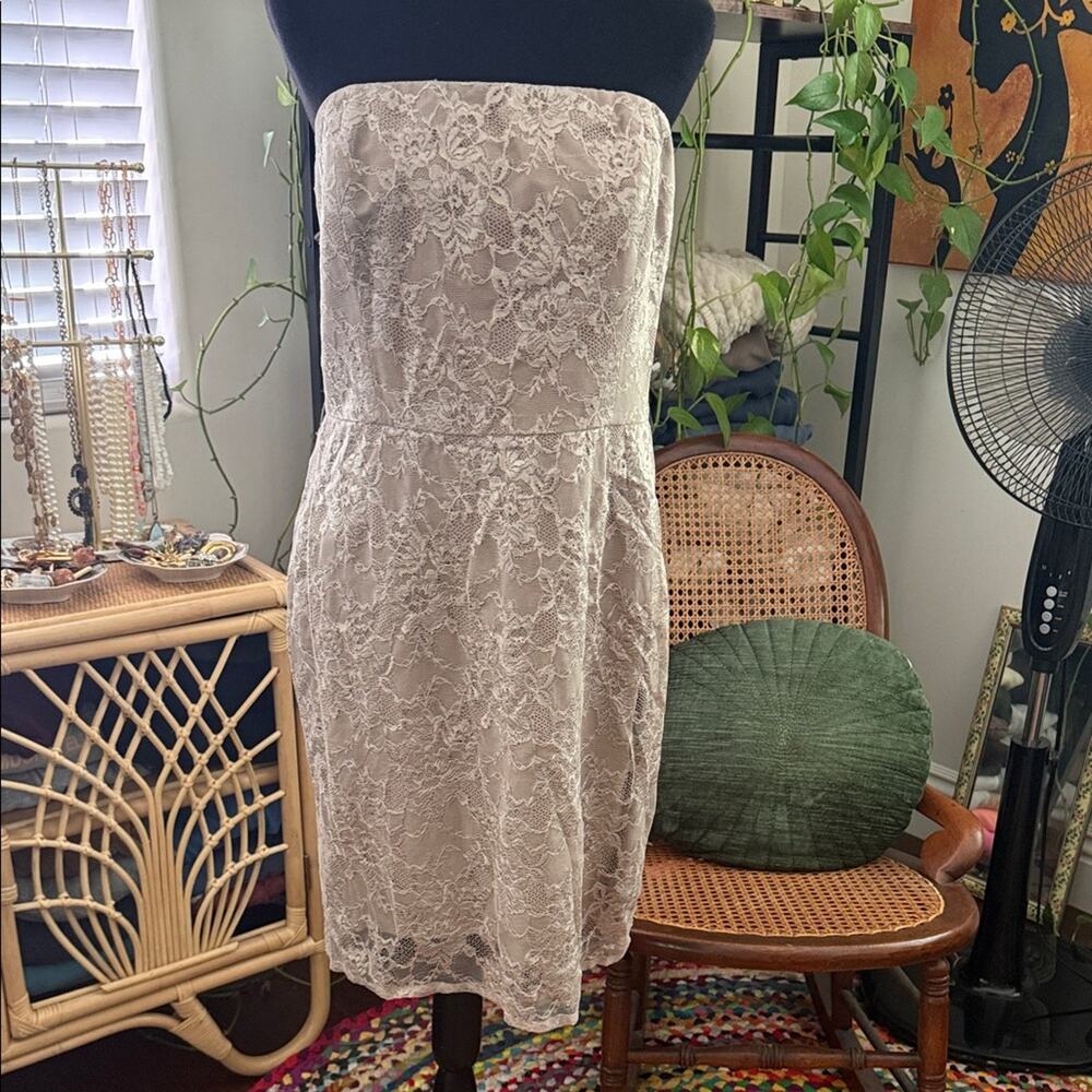 NWT Banana Republic Taupe Lace Classic Elegant Graduation Strapless Mini Dress